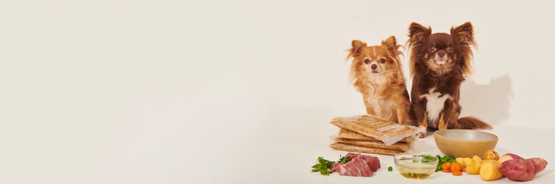 Família com cachorro aproveitando alimentação natural saudável da A Quinta